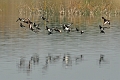15 04 15_2986_edited-1